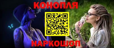 шишки Ставрополь