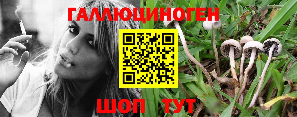 Бузулук  Псилоцибиновые грибы Magic Shrooms  Вход с VPN 
