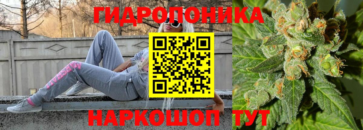 Бошки марихуана сатива  Бошки марихуана гибрид  Бошки Шишки Amnesia  Марихуана гибрид  Бузулук  Вход с VPN 